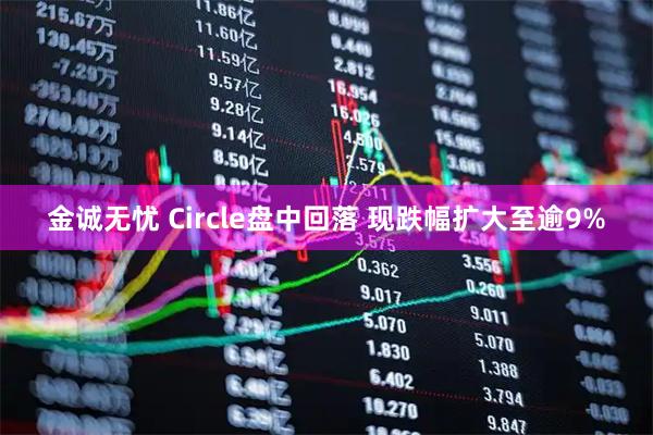 金诚无忧 Circle盘中回落 现跌幅扩大至逾9%